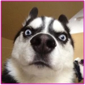 Meet your Posher, Doris